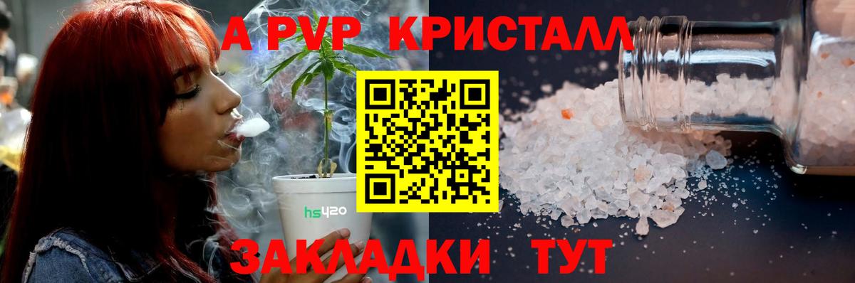 Альфа ПВП крисы CK Североморск