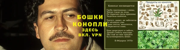 шишки Покачи