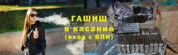 шишки Покачи