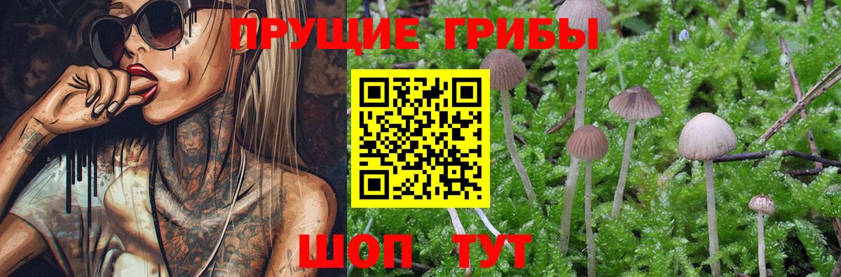 Псилоцибиновые грибы Magic Shrooms  Вход с VPN  Североморск 